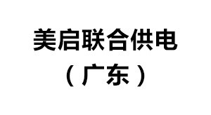 美启联合供电（广东）股份有限公司 （SD162）