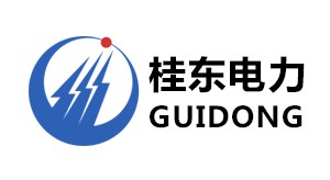 广东桂东电力有限公司（SD117）